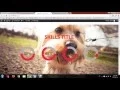 Gaga Lite WordPress Theme Tutorial 2