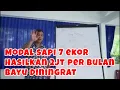 Download Lagu Modal sapi 7 ekor Hasilkan 2jt per bulan#bayudiningrat #bayusehatmandiri #pertanian