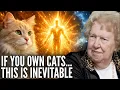 Lagu The Spiritual Destiny of Cat Owners Few People Understand | Dolores Cannon