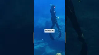 WE’RE SELLING OUR BLUE WATER CRUISER ⛵️ Liveaboards No More…