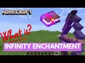 What does Infinity Enchantment do on Minecraft 2024 Minecraft Tutorial