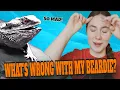 Why Do Bearded Dragons Bob Their Head Bearded Dragon Body Language