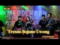 Download Lagu TRESNO BOJONE UWONG - ALINDRA MUSIK