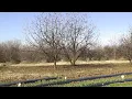 Canadian County farmer struggles with rising property taxes