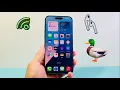 Download Lagu How To Change Ringtone To Duck Sound on iPhone
