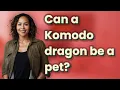 Can a Komodo dragon be a pet