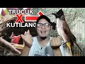 Download Lagu BURUNg HYBR1D SIL4NG4N TRUCUK X KUTILANG USIA DEWASA  AKHIRNYA DIJUW4L - BADAN KUTILANG SUARA TRUCUK