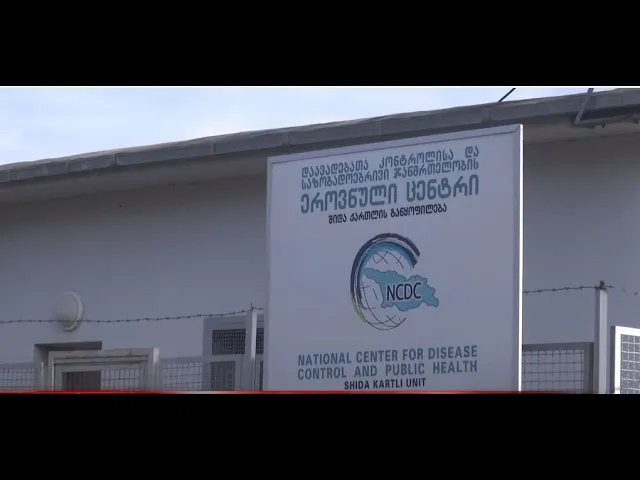 სეზონური ვირუსების პიკი  - გადავსებული საავადმყოფოები, ვაქცინის დეფიციტი და ექიმების რეკომენდაცია