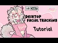 Vrchat Facial Tracking on Desktop Tutorial