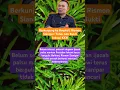 Download Lagu Berkunjung ke Boyolali, Rismon Sianipar: Tidak Ada Bukti Jokowi KKN‼️#shorts #beritaterkini