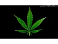 Download Lagu AERO CHORD - Shooting Stars (Shenaj Edit)