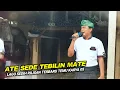 Download Lagu LAGU INI MENGANDUNG BAWANG...ATE SEDE TEBILIN MATE VERSI MUSTAMIN TEMU KARYA 05