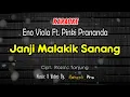 Download Lagu KARAOKE JANJI MALAKIK SANANG ENO VIOLA FEAT PINKI PRANANDA