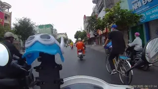                      دندنها