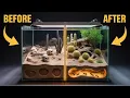 Download Lagu I Built a Desert Home for My Ants… Then They Escaped