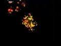 CRISPR-dCas9 and sgRNA scaffolds enable dual-colour live imaging of satellite sequences and repeat