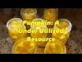 Download Lagu Canning Pumpkin. 