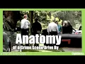 Dan Markel Murder Anatomy of a Crime Scene Drive By - Wendi Adelson
