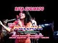 Rita Sugiarto New Pallapa -Semakin Sayang semakin Kejam"