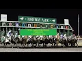 TURFWAY PARK FULL CARD SELECTIONS THURSDAY JANUARY 8 2026
