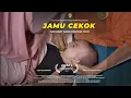 Download Lagu Jamu Cekok : Sahabat Sang Ksatria Cilik