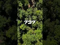 737 Tomahawk SB in Timber Setting