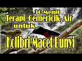 Download Lagu suara gemericik air terapi konin macet #terapi #konin #kolibri #sogon #pancingan #ngalas #gacor
