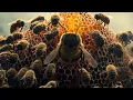 Download Lagu Styx - Build \u0026 Destroy (Official Lyric Video)