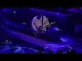 NOAH - Langit Tak Mendengar (Live at Amsterdam)