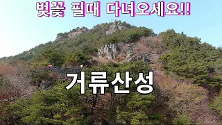 자동차여행 거류산성 절경에 반하다//벚꽃필때 꼭 다녀오세요//오지임도 탐사여행// 썸네일