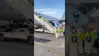 استقبال الحجاج الحج                    دندنها