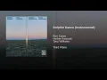 Dolphin Dance (Instrumental)