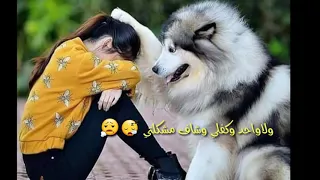 إق ت رب      ل  ن أط يل الح  دي  ث   أري     د أن    أت نفسك  ف ق  ط  دندنها