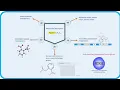 Calculating Molecular Descriptors using RDKit and Mordred