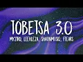 Lagu Myztro, Leehleza, Shaunmusiq, Ftears - Tobetsa 3.0