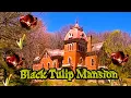 Black Tulips And Kat Von D Mansion