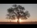 Download Lagu Randall King - I'll Fly Away (Official Music Video)