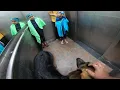 Download Lagu When two kids join the same lift with a German Shepherd