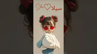 سيلا الجزء الثاني تم الرده على Sila Gh 