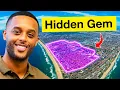 Why Everyone Is MOVING to Torrance California in 2025
