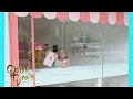 The Donna Drake Show A BRAND NEW WORLD OF SWEDISH CANDY IN TAMPA WITH THE PIRATE CANDY SHOP