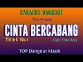 Download Lagu CINTA BERCABANG, TITIEK NUR, KARAOKE DANGDUT NO VOKAL