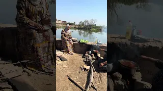 حنان سايبه الشغل علي الشيف 