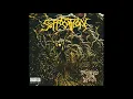 Suffocation - Depths Of Depravity