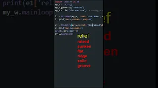 Tkinter Entry widget relief attribute to manage the 3-D effect of the borders