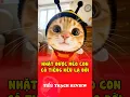 Download Lagu Nhặt được mèo con có tiếng kêu lạ đời #shorts