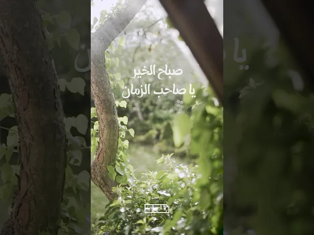 ⁣في صبيحة هذا اليوم كا الذي تريد أن تخبر إمام زمانك به؟🌤️ #مدد #الإمام_المهدي_المنتظر # #يوم_الجمعة