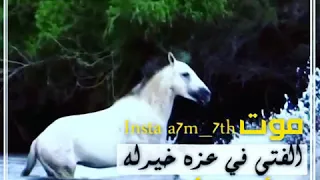 موت الفتى في عزة خير له دندنها