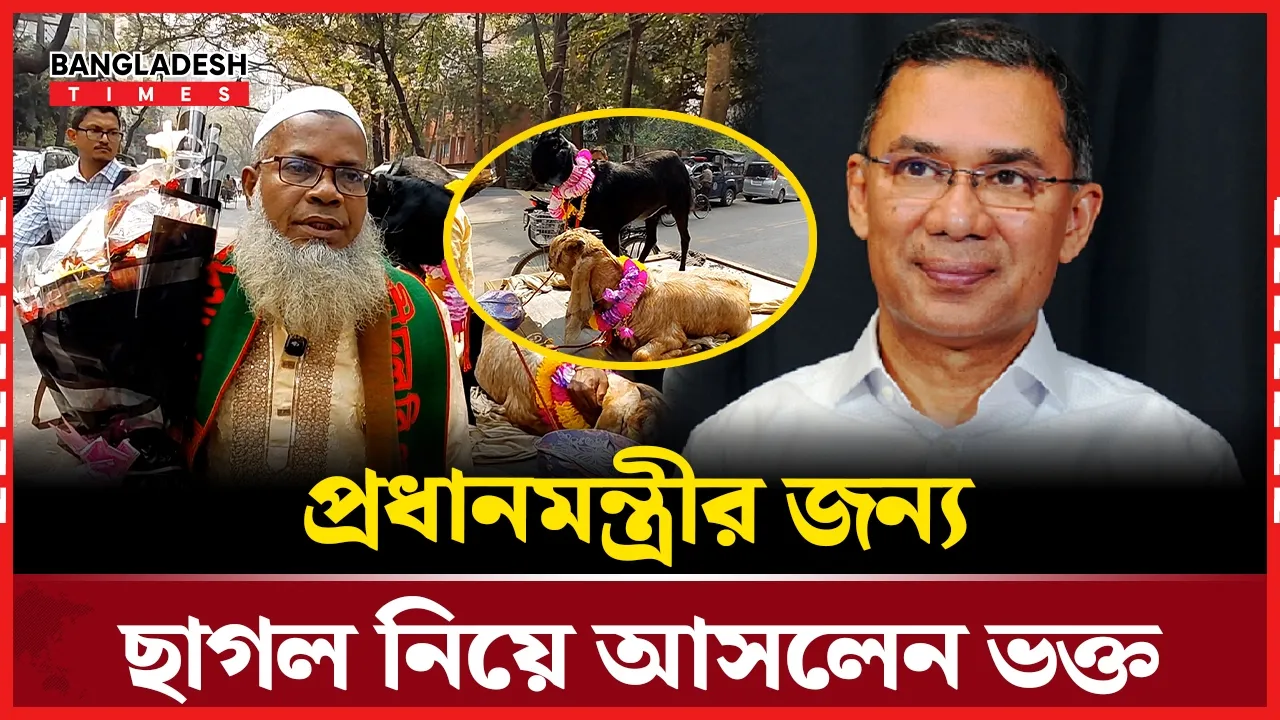প্রধানমন্ত্রী তারেক রহমানকে উপহার দিতে ছাগল নিয়ে এলেন ভক্ত