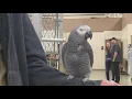 Idaho Pet Expo brings furry feathery and scaly companions to Boise